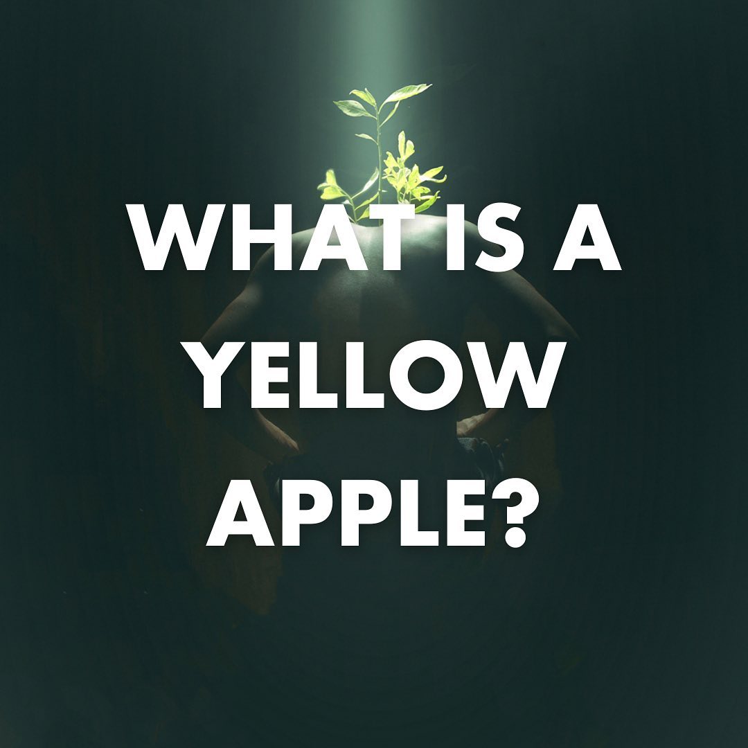 352646187_1650075542128476_1140883634095298192_n